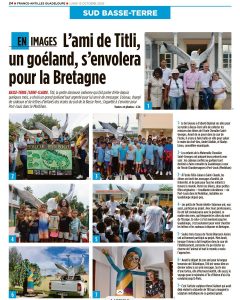 6. France antilles