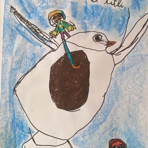 2 dessin goeland