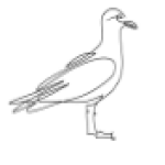 Logo du groupe Port Louis (56)