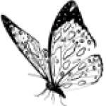 Logo du groupe Arlette Salomon (971)