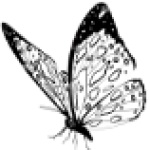 Logo du groupe école Félix Laban (971)